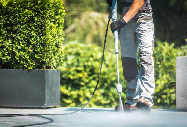 Best Soft Washing for Delicate Surfaces in Burlingame, CA